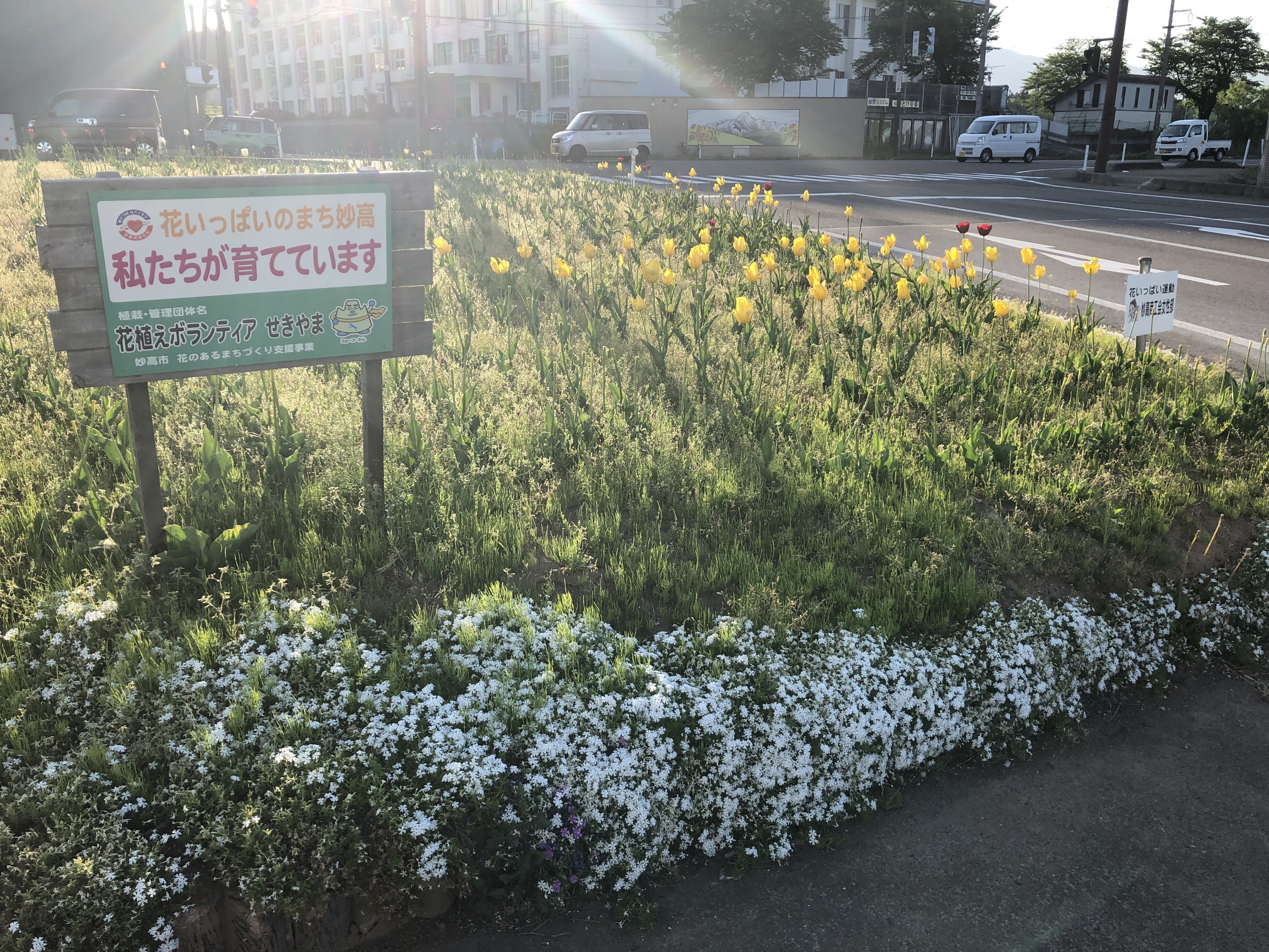 花植えボランティアせきやまの花壇