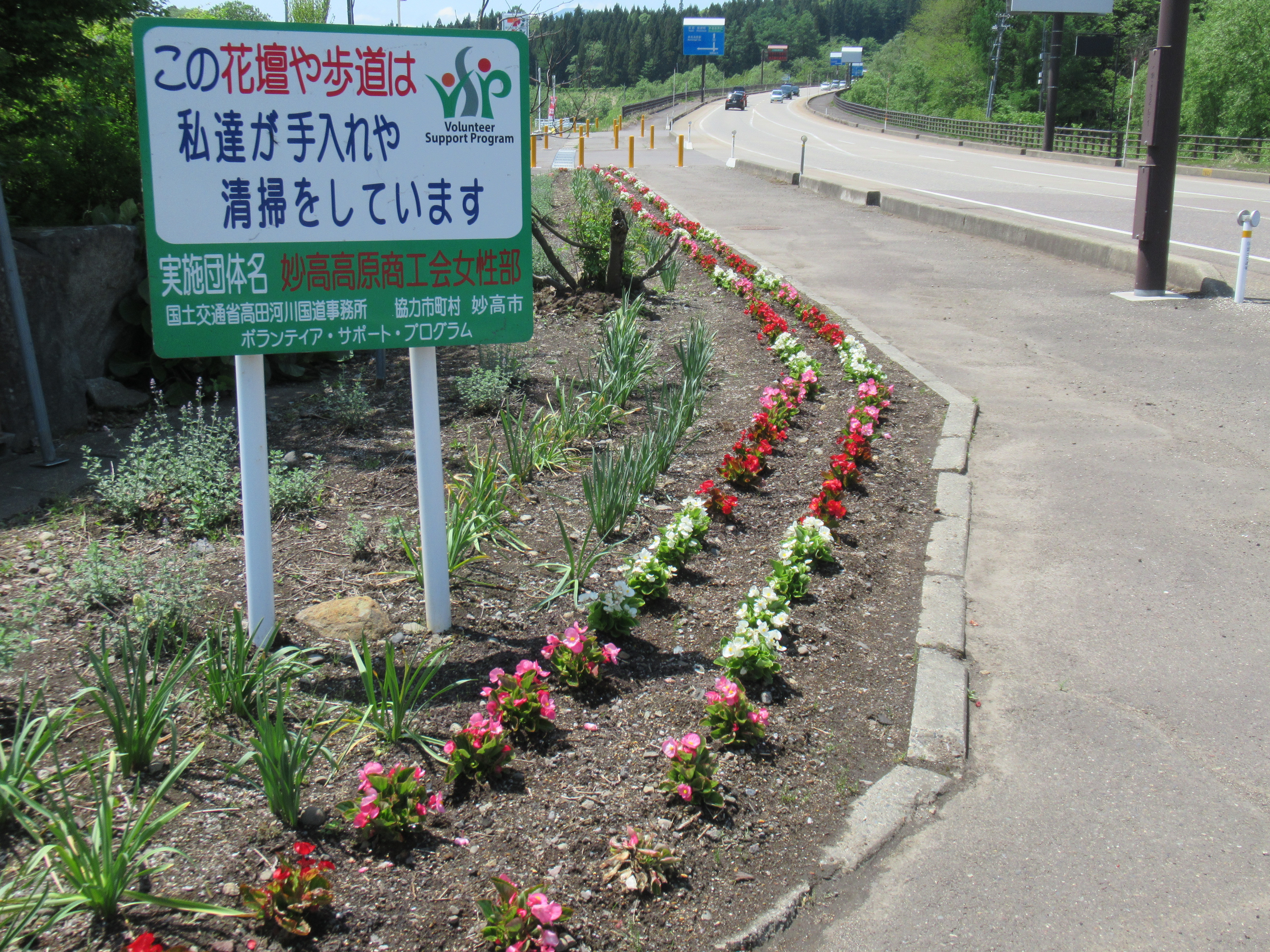 妙高高原商工会女性部の花壇