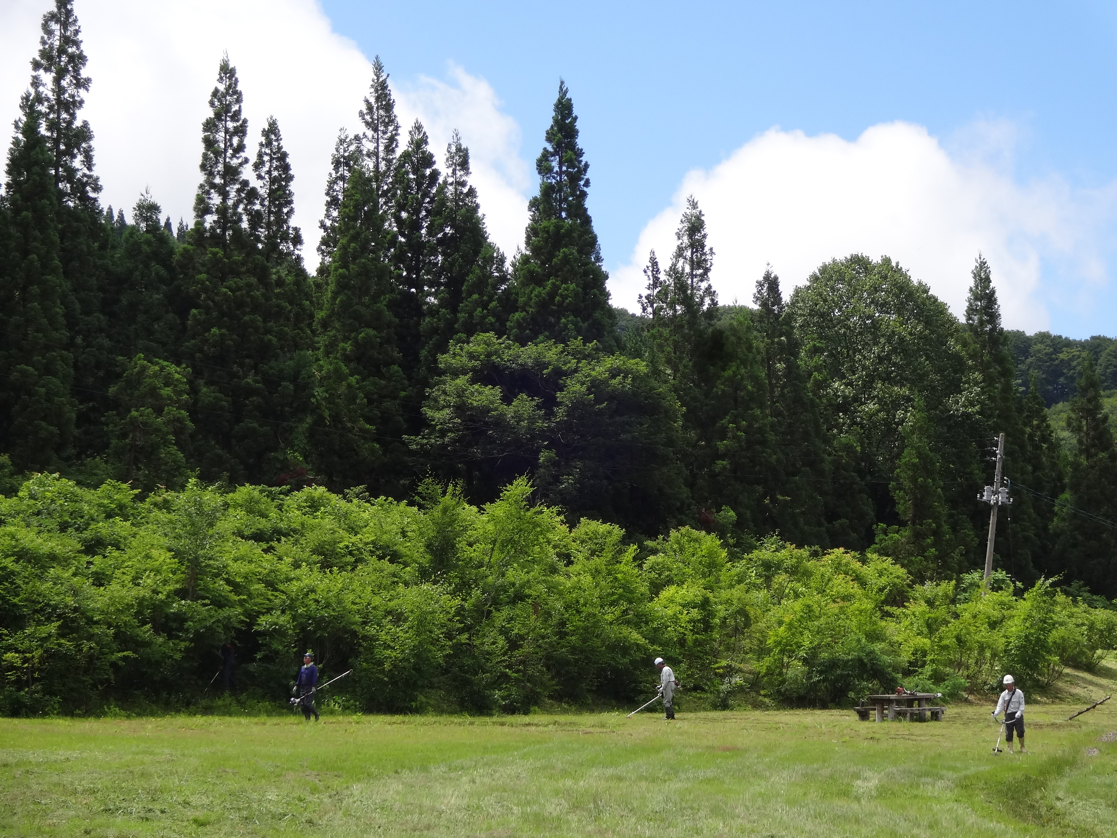 DSC07359.JPG