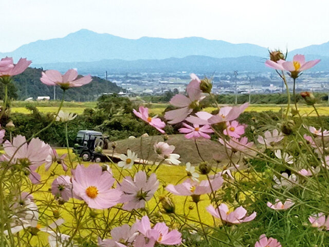 角野さんのお宅の近くから見える景色