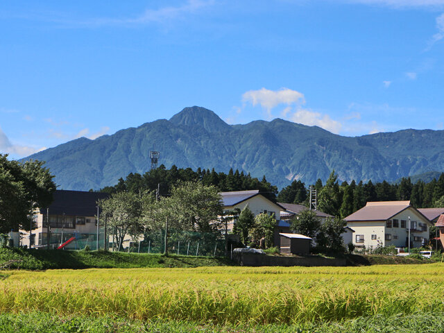 窪松原から眺める妙高山