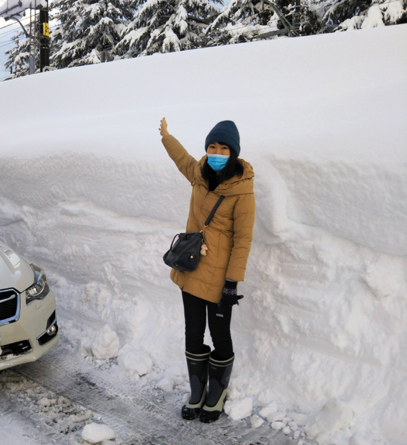 冬は雪の壁ができる