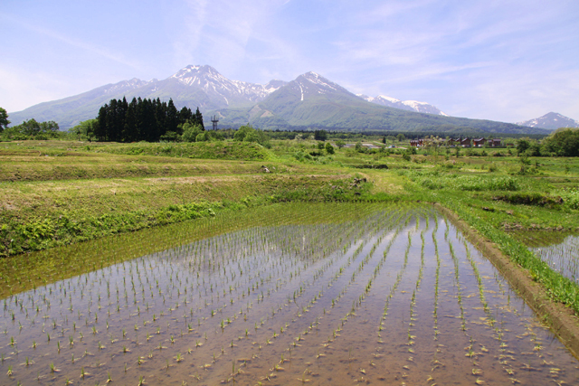 大洞原から見た妙高山