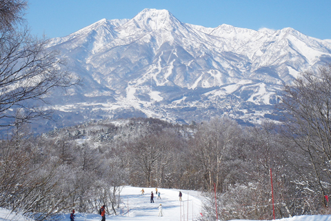 妙高山広がるスキー場のコピー.jpg