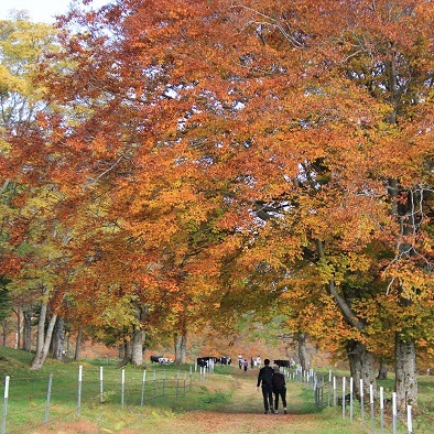 masatoshihorikawa笹ヶ峰牧場・.jpg