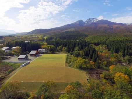 池の平スポーツ広場夏の様子