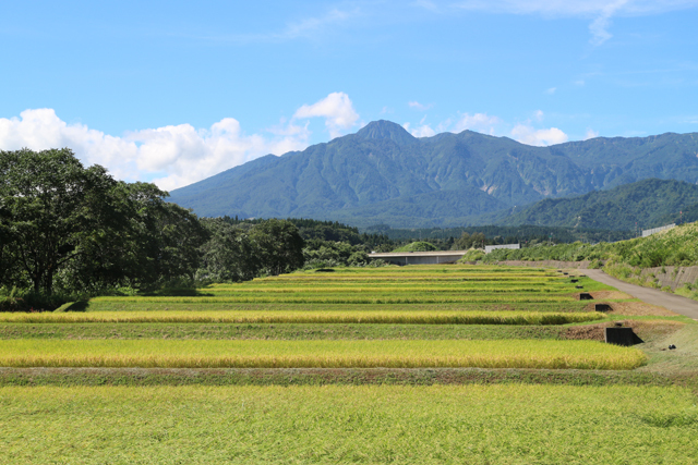 矢代地域の景観