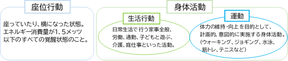 身体活動.png