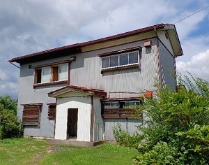 442.jpg