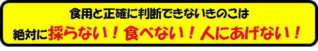 image5-cleaned.jpg