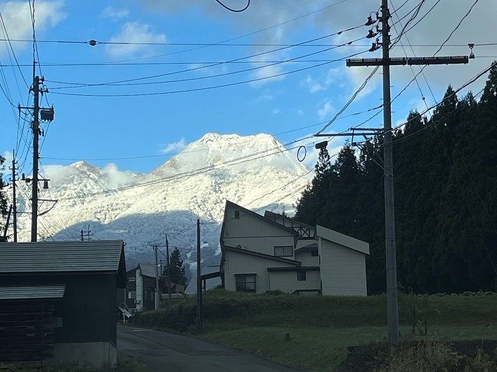 初冠雪.jpg