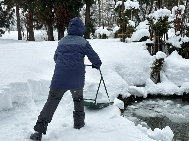 雪かき体験