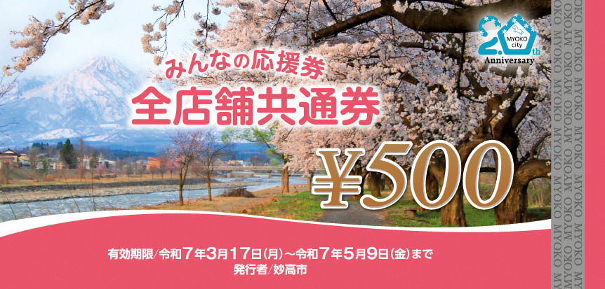 応援券(見本)全店舗共通券.jpg