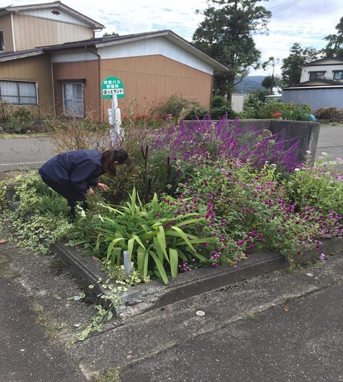 ほっとランド作業２