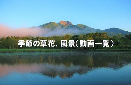 日本の宝妙高