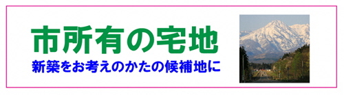 市有地の紹介