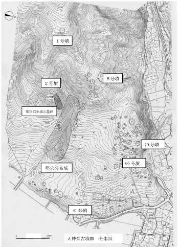 天神堂古墳群の全体図