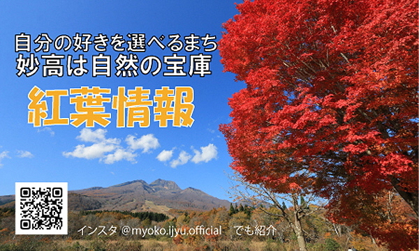 妙高こうよう情報