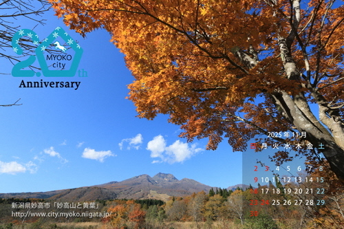 カレンダー11月号