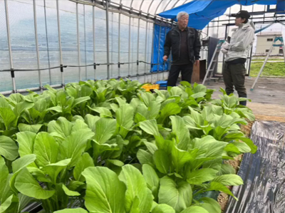 米ファーム斐太 宮沢さん