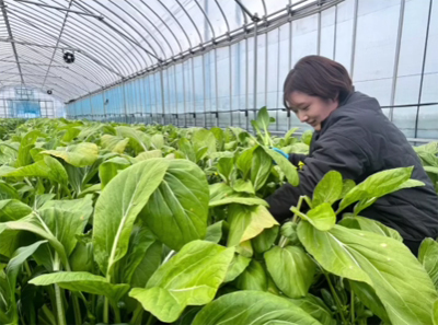 米ファーム斐太 寺本さん