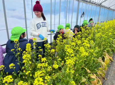 米ファーム斐太 山田さん