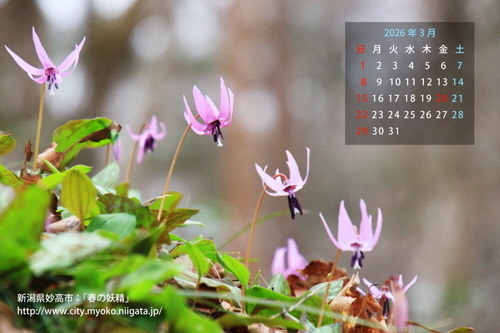 カレンダー3月号