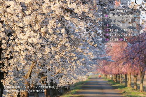 カレンダー4月号