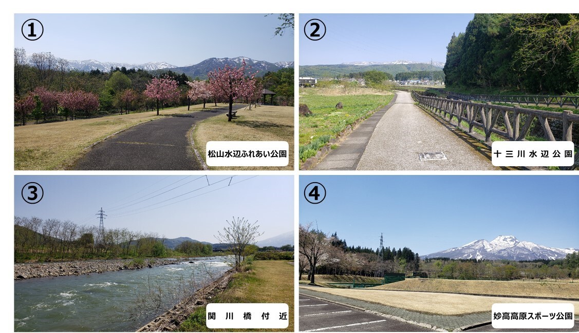 5月緑.jpg