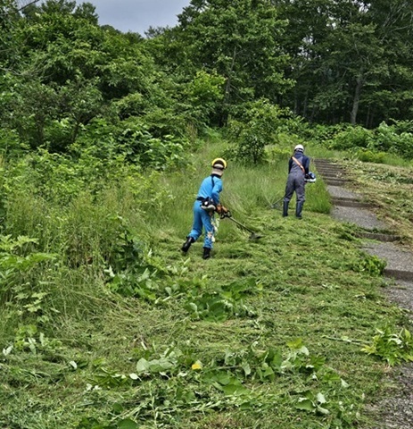 Tsubame_mowing.jpg