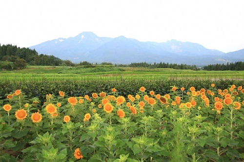 妙高山と生きる