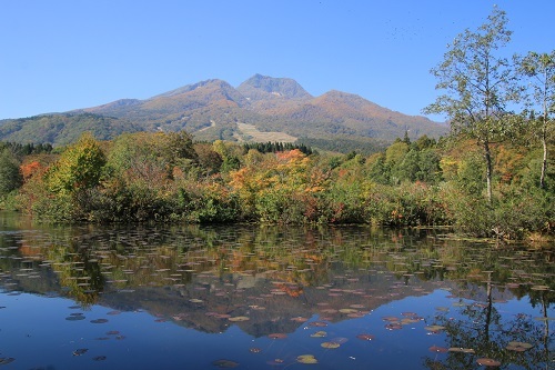池の平 いもり池
