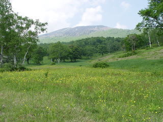 自然いっぱい雲上の楽園 笹ヶ峰高原 妙高市