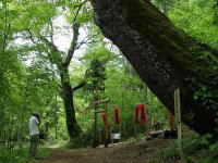 夢見平遊歩道