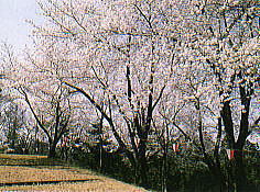 経塚山公園