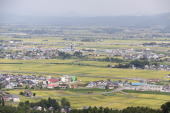 黄金色の田園・斐太