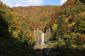 笹ヶ峰から黒倉林道・紅葉